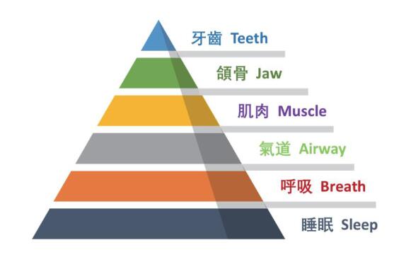 愛爾唯的理念