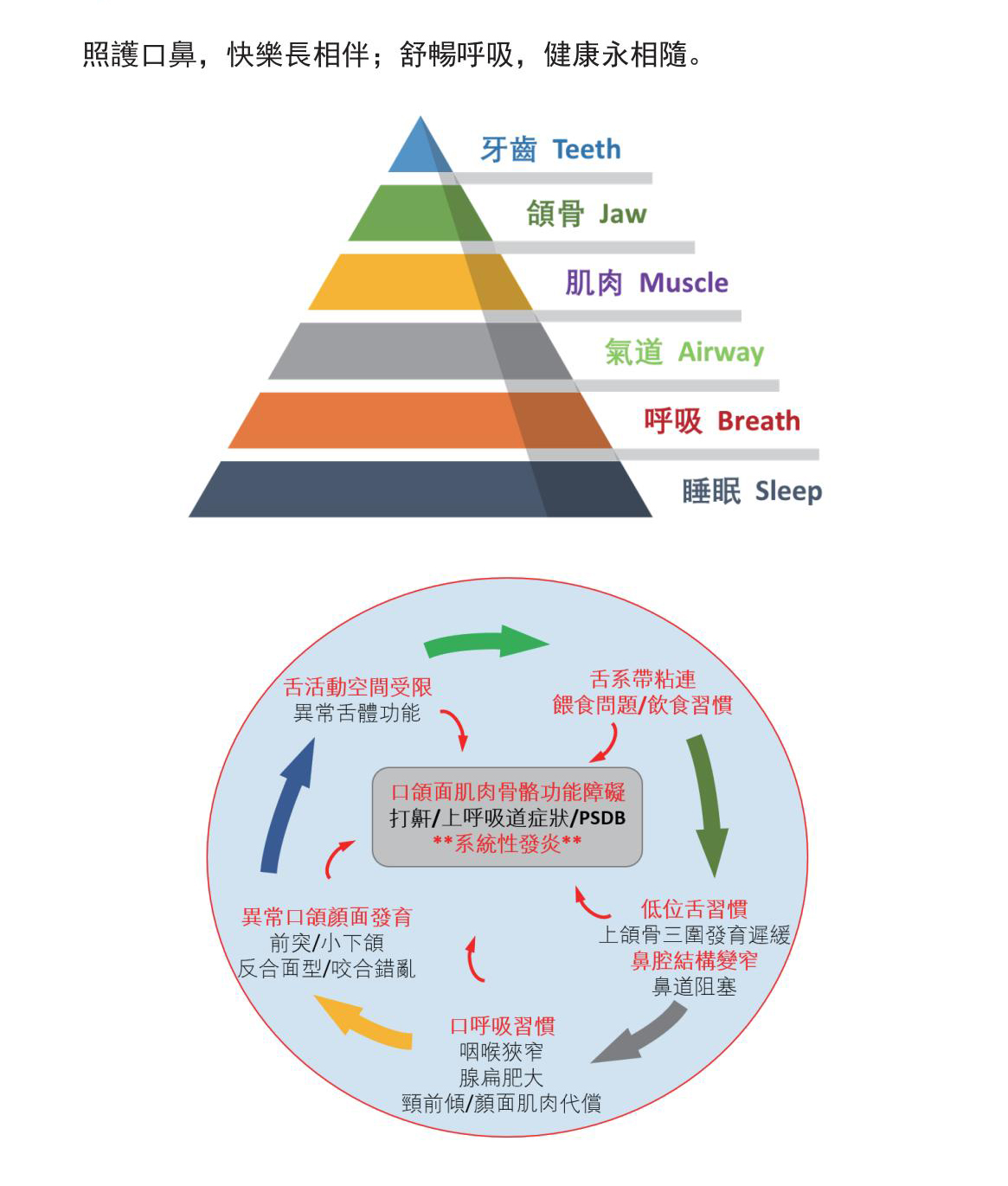 愛爾唯醫療中心簡介_03.jpg